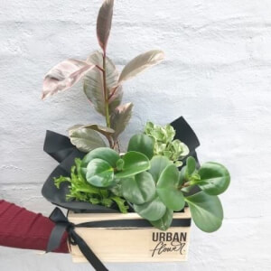 Ideal Get Well Gift Options to Give Men